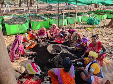 केंचुआ इन डिमांड:प्रदेश में जैविक खेती ने केंचुए को बनाया कीमती, महिलाओं ने सालभर में 13 लाख कमाए