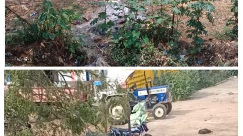 पीएचई विभाग के कारनामें से अधिकारी मस्त जनता त्रस्त
