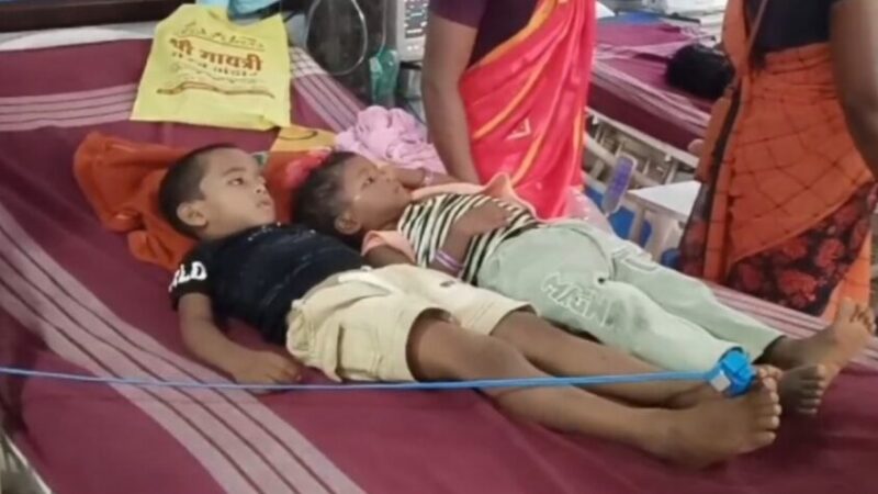 रतनजोत खाने से बिगड़ी आंगनबाड़ी केंद्र के 6 बच्चों की तबियत, अस्पताल में इलाज जारी