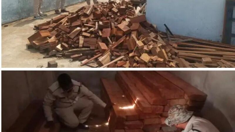 इन दिनों लकड़ी जप्त कर केवल वाह वाही लूट रहे वन विभाग के रेंजर