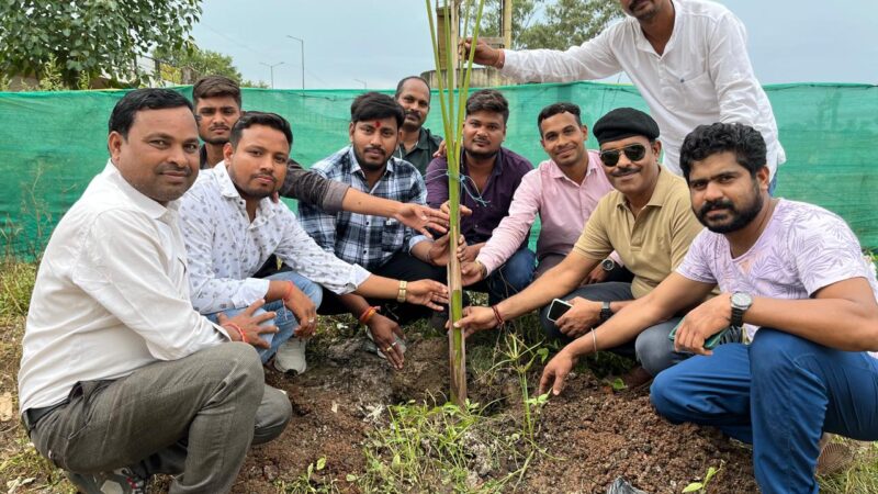 जिला साहू समाज बिलासपुर उपाध्यक्ष ललित साहू  का जन्मदिन चकरभाठा साहू समाज भवन निर्माणाधीन भवन में पाम ट्री वृक्ष लगाकर मनाया गया