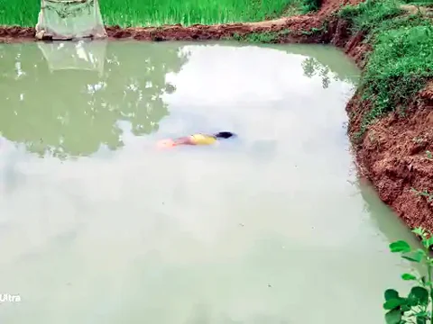 दहेज प्रताड़ना से तंग आकर नवविवाहिता ने दी जान