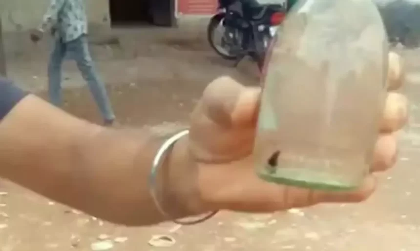 देशी शराब के बोतल में मिला कीड़ा, आबकारी विभाग के अधिकारी अनजान