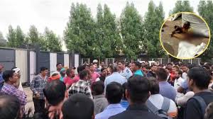 एपीएल अपोलो स्टील प्लांट में बड़ा हादसा, वजनी पाइप के नीचे दबने से मजदूर की दर्दनाक मौत