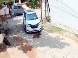 रायपुर में XUV ने बछड़े को कुचला हुई मौत, पुलिस ने दर्ज की FIR
