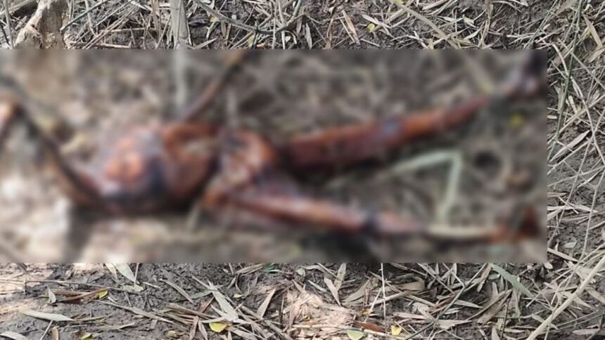 नदी किनारे झाड़ियों के बीच मिली अज्ञात महिला की लाश, मचा हड़कंप