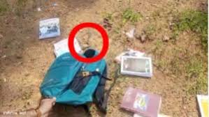 छात्रा के स्कूल बैग में बैठा था नाग सांप, बस्ता खोलते ही क्लासरूम में मचा हड़कंप …