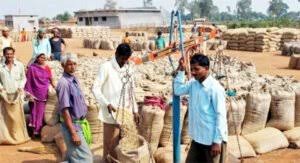 धान खरीदी की तैयारी शुरू : 30 को होगी मंत्रिमंडलीय उप समिति की बैठक