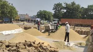 छत्तीसगढ़ में कब से होगी धान खरीदी, मंत्रिमंडल इस दिन करेगा फैसला