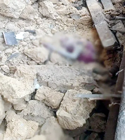 कच्चा मकान ढहने से मलबे में दबकर एक महिला की मौत