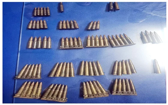 होटल ग्रैंड कैन्यन के सामने छोकरा नाले में मिले 84 कारतूस, पुलिस जांच में जुटी…