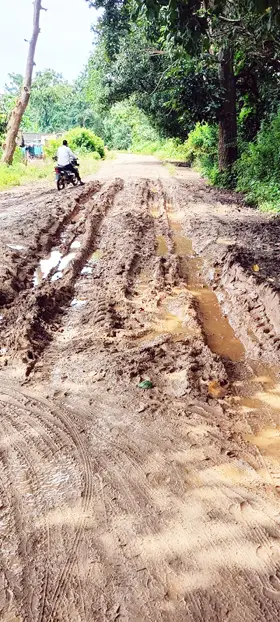 पक्की डामरीकृत सड़क में गड्ढे ही गड्ढे, वाहन चालकों को हाे रही परेशानी, हादसे की भी आशंका