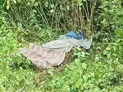 अपने ही बिछाए जाल में फंसा शिकारी, करंट की चपेट में आने से तोड़ा दम