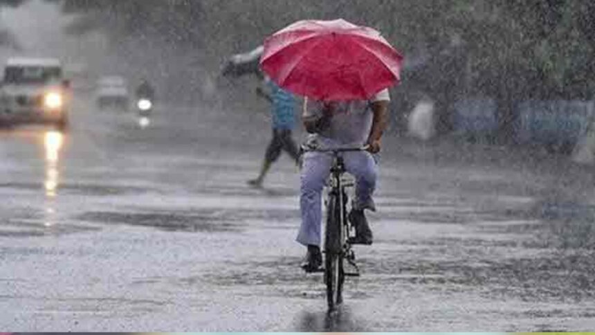 जाते जाते फिर बरसेंगे बदरा, छग में बारिश लेकर आया नया अपडेट