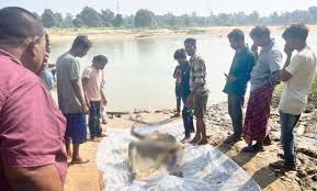 चेकडैम में डूबे मछुआरे की तीन दिन बाद मिली लाश, जाल में फंसा मिला शव