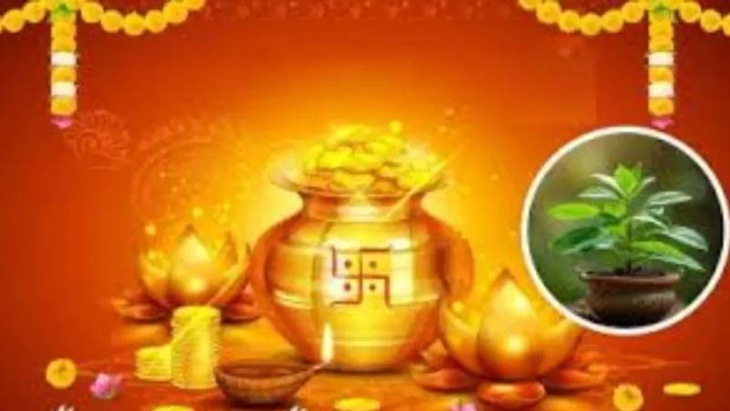 तुलसी दिलाएगी सुख-समृद्धि, आस्था के साथ करें धनतेरस के दिन यह काम