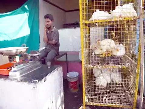 राजधानी में आज पूरी तरह से प्रतिबंध रहेगी मांस-मटन की बिक्री