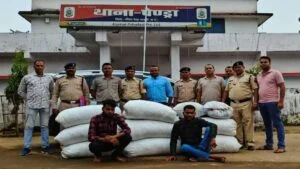 जीपीएम पुलिस की बड़ी कार्रवाई, एक महीने में जब्त किया 485 किलो गांजा, MP-CG के 11