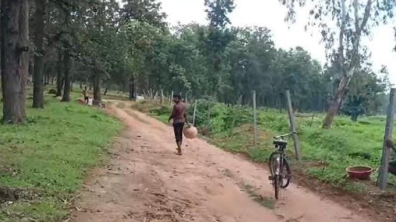 छितापडरिया के वन विभाग की जमीन पर बिना अनुमति बना दी सड़क,पेड़ों को भी नुकसान वन विभाग की जमीन पर बनाई गई अवैध सड़क