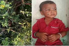 रायपुर में तीन साल के बच्चे की गला दबाकर हत्या, झाड़ियों में मिली लाश, नाबालिग रिश्तेदार से हो रही पूछताछ