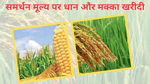 समर्थन मूल्य पर धान एवं मक्का की खरीदी के लिए किसानों का पंजीयन इस तारीख तक चलेगा
