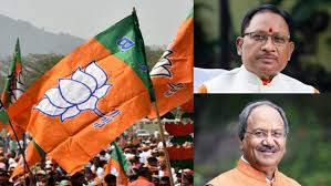 दक्षिण विधानसभा उपचुनाव : BJP ने जारी की 40 स्टार प्रचारकों की लिस्ट