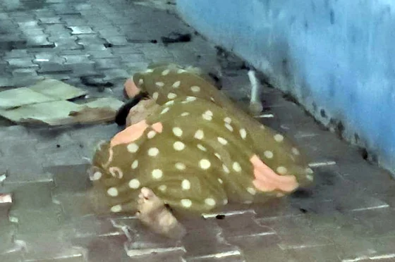 लाठी-डंडों से पीट-पीटकर बुजुर्ग की हत्या, आरोपियों की तलाश में जुटी पुलिस