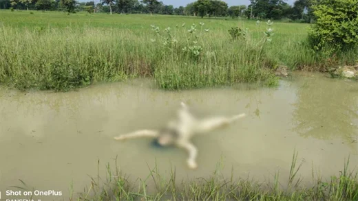 नहर में बहती मिली नाबालिग की लाश, हत्या की आशंका से फैली सनसनी