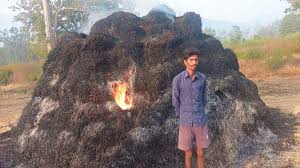 किसान की महीनों की मेहनत से तैयार फसल जलकर हुई खाक