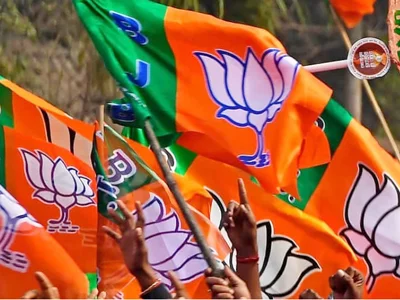 अगले तीन महीने में बदल जाएगा भाजपा का संगठनात्मक ढांचा, पार्टी नई टीम के साथ छत्‍तीसगढ़ निकाय चुनाव में झोंकेगी ताकत