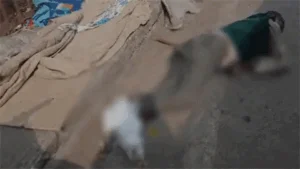 रायपुर में मिली लाश, ठंड से मौत की आशंका