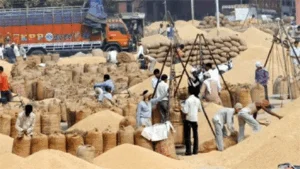 धान खरीदी में तेजी: अब तक 13.48 लाख मीट्रिक टन धान की खरीद, किसानों को 2649 करोड़ रुपये का भुगतान
