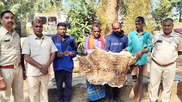 चीतल और तेंदुए की खाल की तस्करी, वन अमले ने 5 आरोपियों को रंगे हाथ दबोचा