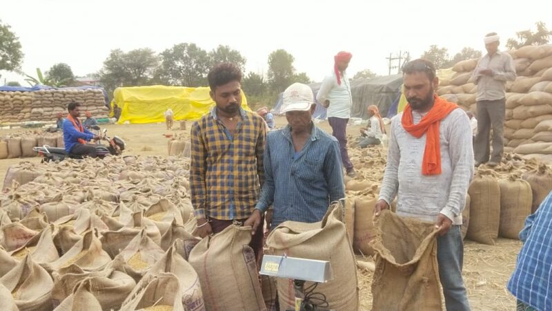 धान खरीदी केंद्र पिरीद में चल रहा है सुचारू रूप से धान खरीदी