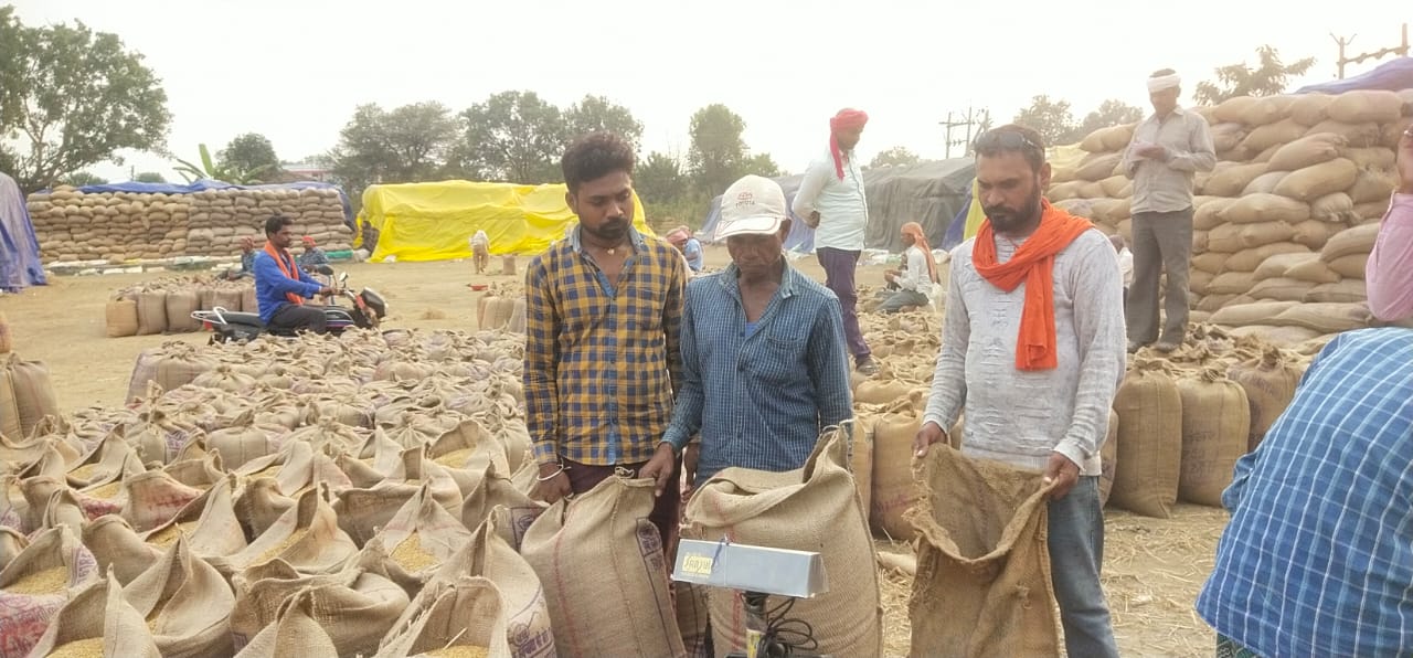 धान खरीदी केंद्र पिरीद में चल रहा है सुचारू रूप से धान खरीदी