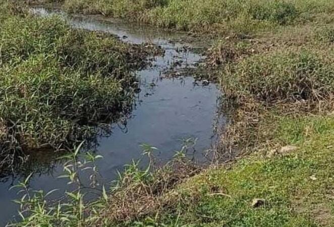 तत्कालीन सी. एम .ओ .की बड़ी लपरवाही पर्यावरण विभाग ने चांपा नपा पर ठोका 9 करोड़ 90 लाख की पेनाल्टी