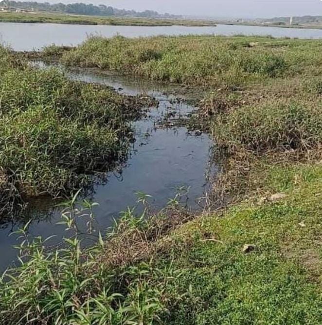 तत्कालीन सी. एम .ओ .की बड़ी लपरवाही पर्यावरण विभाग ने चांपा नपा पर ठोका 9 करोड़ 90 लाख की पेनाल्टी