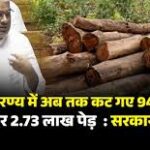 छत्तीसगढ़ के हसदेव अरण्य में अब तक कट गए 94,460 पेड़ , 2.73 लाख पेड़ और काटे जाएंगे , 5 और खदानों की नीलामी शुरु