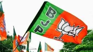 भाजपा का संगठन चुनाव : दिल्ली में बड़ी बैठक शुरू, सीएम साय भी पहुंचे, कई बड़े निर्णयों की संभावना