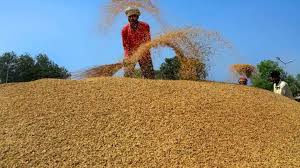 धान बेचने वालों किसानों के लिए बड़ी खबर, अब ऐसे कटेगा टोकन, मिलेगी राहत