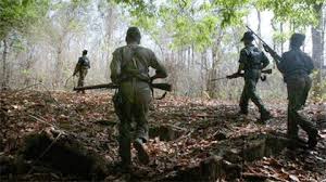 बीजापुर से सटे तेलंगाना के मुलुगु जिले में सुरक्षा बलों ने सात नक्सलियों को मार गिराया