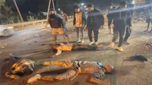 तेज रफ्तार हाइवा ने बाइक सवारों को रौंदा, 3 की मौके पर हुई मौत