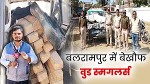 बलरामपुर रामानुजगंज में लकड़ियों की तस्करी, हादसे के बाद वुड स्मगलिंग का हुआ खुलासा