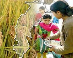 कल मनाया जाएगा छेरछेरा पर्व