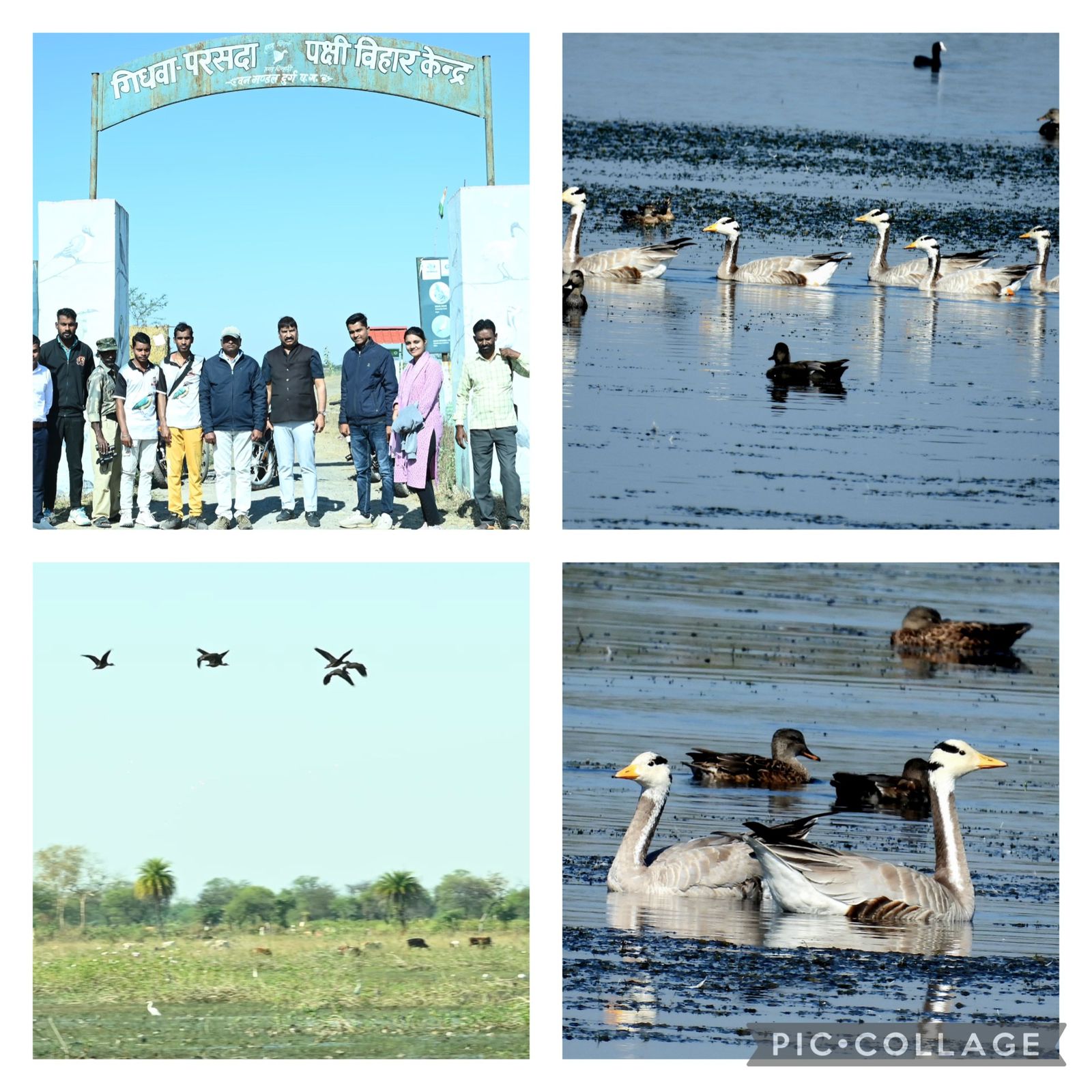 बेमेतरा जिले में पर्यटन विकास की संभावना और प्रयास: गिधवा-परसदा पक्षी विहार