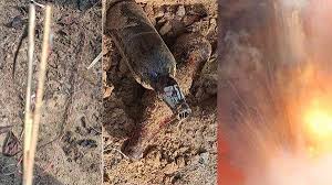 नक्सली अब बीयर बॉटल में करने लगे आईईडी प्लांट, जवानों ने 2 आईईडी बरामद कर किया डिफ्यूज