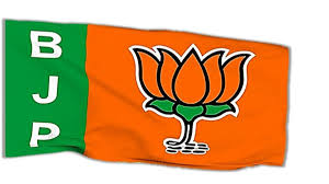 त्रिस्तरीय पंचायत चुनाव 2025: खैरागढ़ में भाजपा ने जारी की जिला पंचायत सदस्यों की सूची