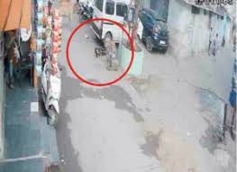 8 साल की बच्ची पर कुत्ते ने किया हमला