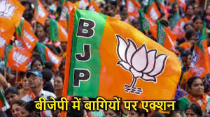 भाजपा ने दिखाए तेवर : 250 बागी निकाले गए, 300 से ज्यादा पर तलवार
