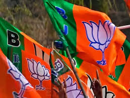 भाजपा के 115 प्रत्याशियों ने जीते जिला पंचायत सदस्य का चुनाव